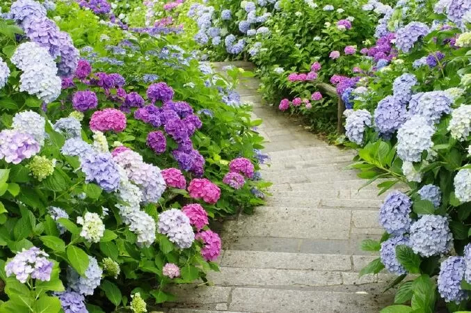Bài văn phân tích nhân vật viên quản ngục - Mẫu số 8