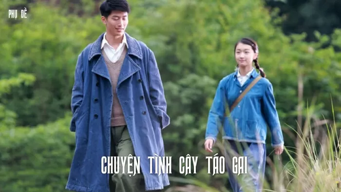 Chuyện tình cây táo gai
