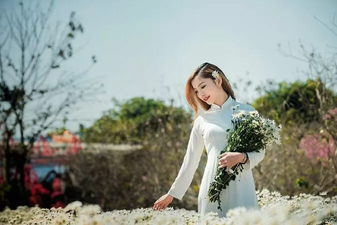 Mẫu 14