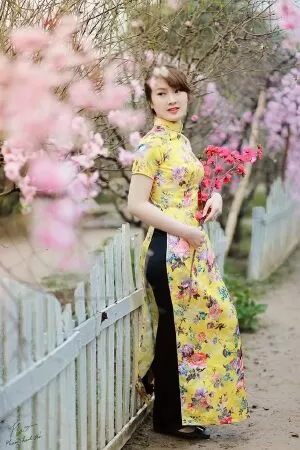 Mẫu 15