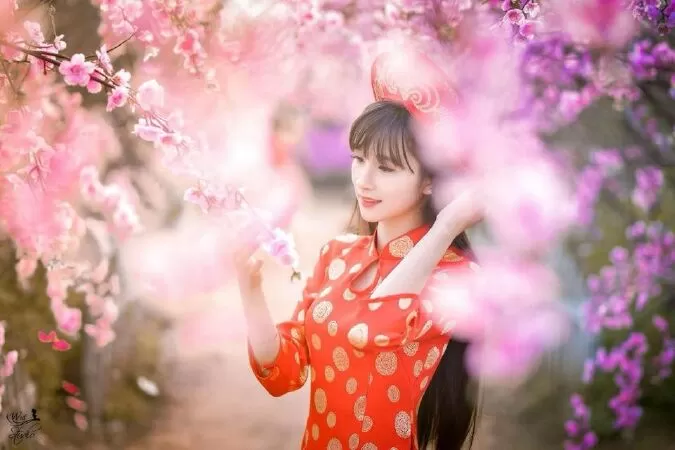 Mẫu 19