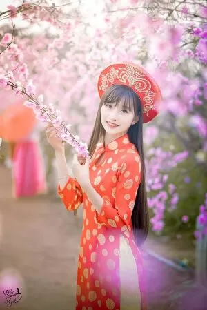 Mẫu 21