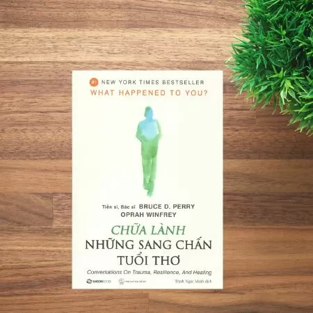 Chữa lành những sang chấn tuổi thơ - Tiến sĩ, bác sĩ Bruce D. Perry.