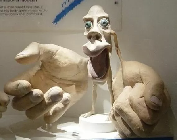 Homunculus