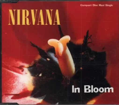 In Bloom