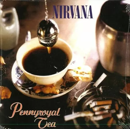 Pennyroyal Tea
