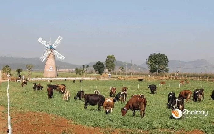 Vinamilk Organic Milk Farm