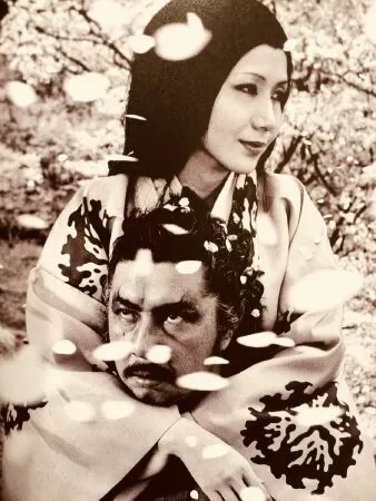 Under the Blossoming Cherry Trees