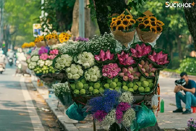 Bài văn phân tích nhân vật cô Hiền trong Một người Hà Nội - Mẫu số 3