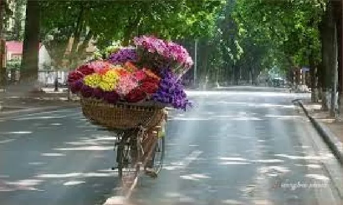 Bài văn phân tích nhân vật cô Hiền trong Một người Hà Nội - Mẫu số 6