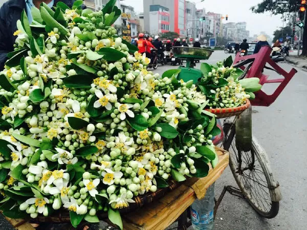 Bài văn phân tích nhân vật cô Hiền trong Một người Hà Nội - Mẫu số 8
