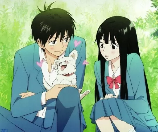 Kimi ni Todoke