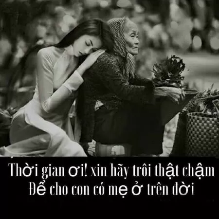 Mẫu 11