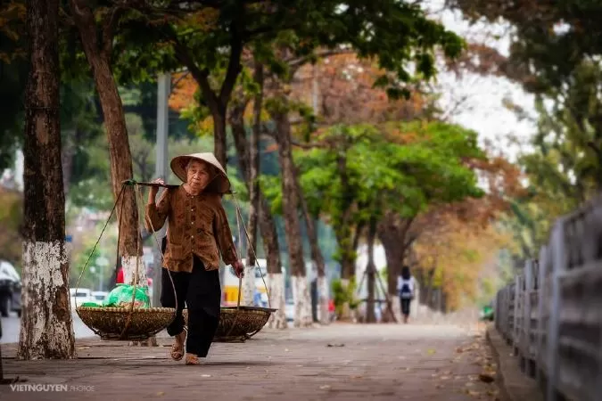 Mẫu 16