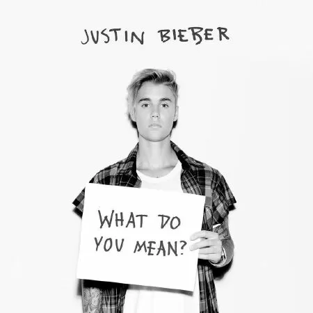What do you mean
