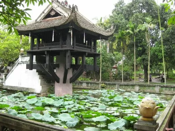 Mẫu 3