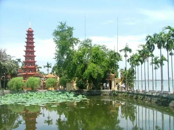Mẫu 4