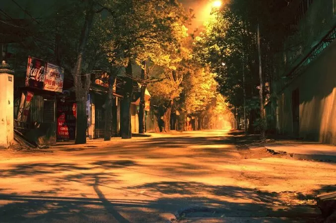Mẫu 13