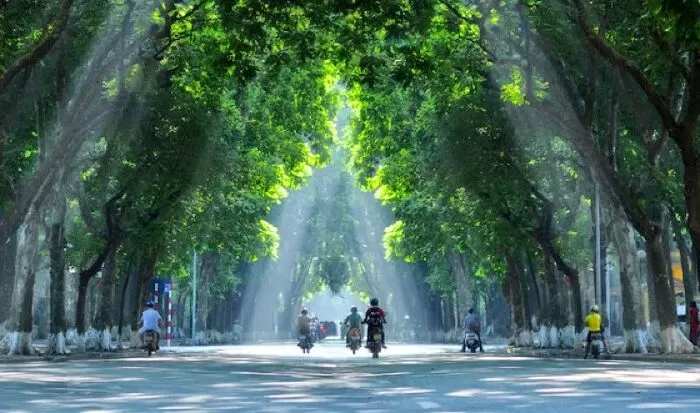 Mẫu 14