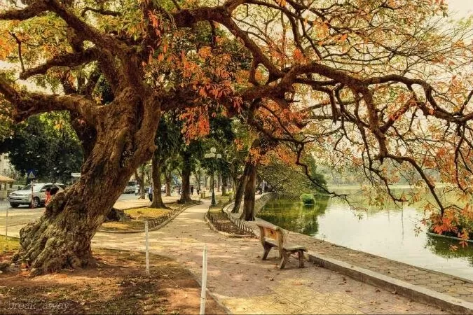 Mẫu 17