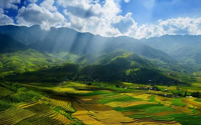 Bài văn cảm nhận khổ thơ 5 và 6 Bài thơ về tiểu đội xe không kính - Mẫu số 6
