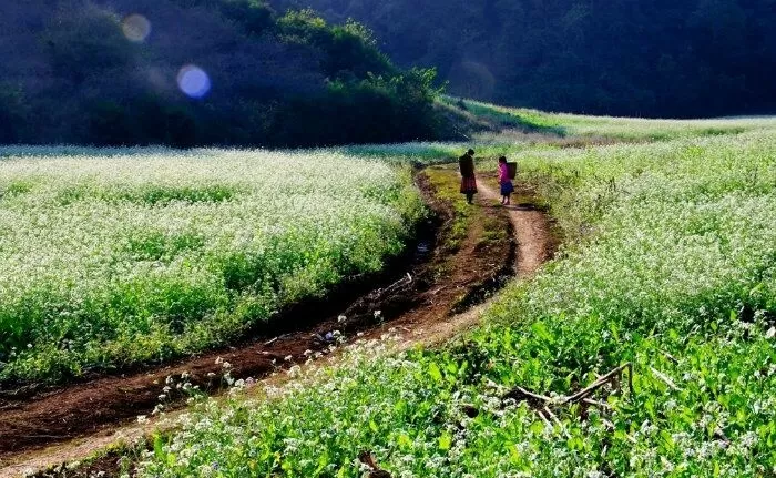 Bài văn cảm nhận khổ thơ 5 và 6 Bài thơ về tiểu đội xe không kính - Mẫu số 8