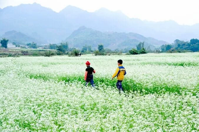 Bài văn cảm nhận khổ thơ 5 và 6 Bài thơ về tiểu đội xe không kính - Mẫu số 9