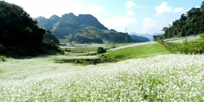 Dàn ý cảm nhận khổ thơ 5 và 6 Bài thơ về tiểu đội xe không kính - Mẫu số 10