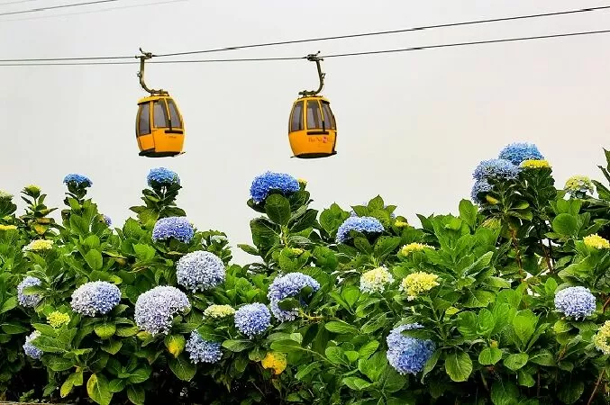 Bài văn bàn về vấn đề sống đẹp sống có ích - Mẫu số 3