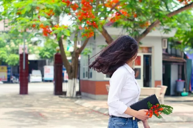 Mẫu 4