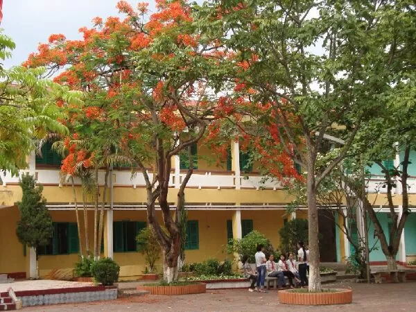 Mẫu 6