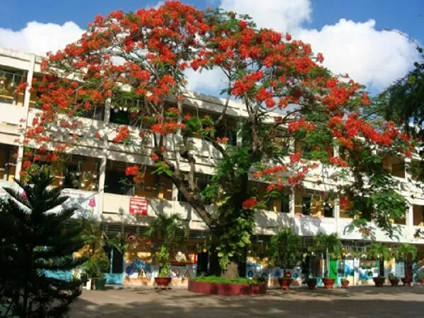 Mẫu 7