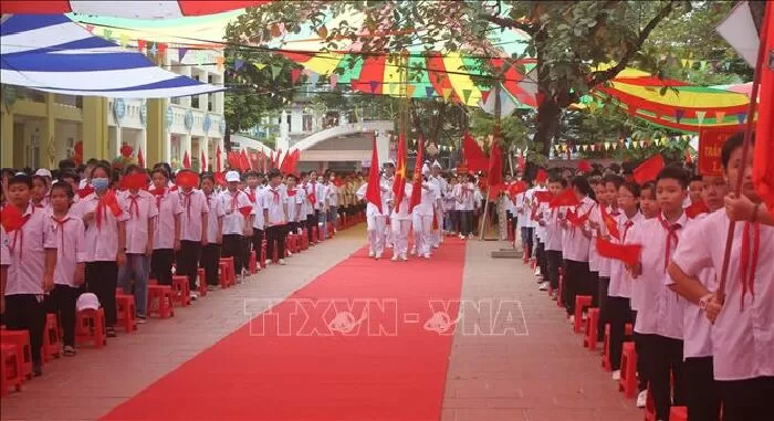 Mẫu 15