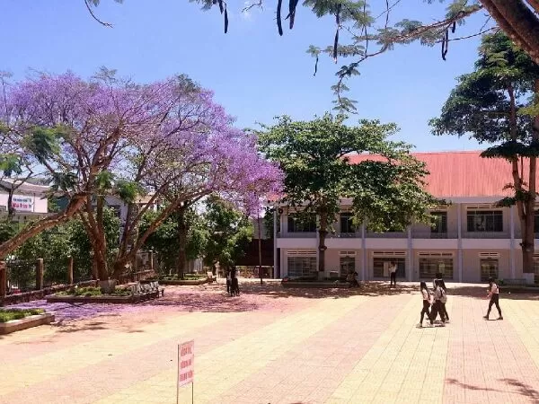 Mẫu 17