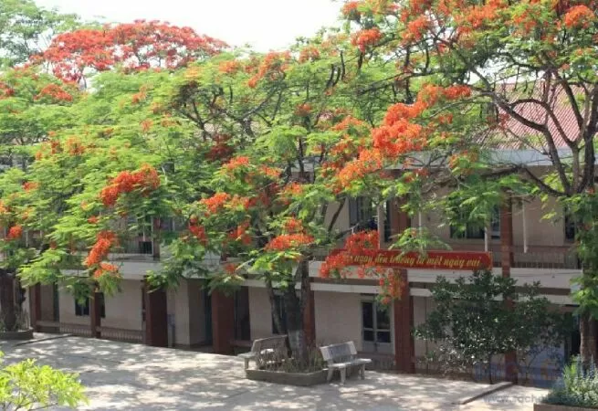 Mẫu 18