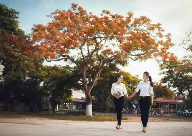 Mẫu 19