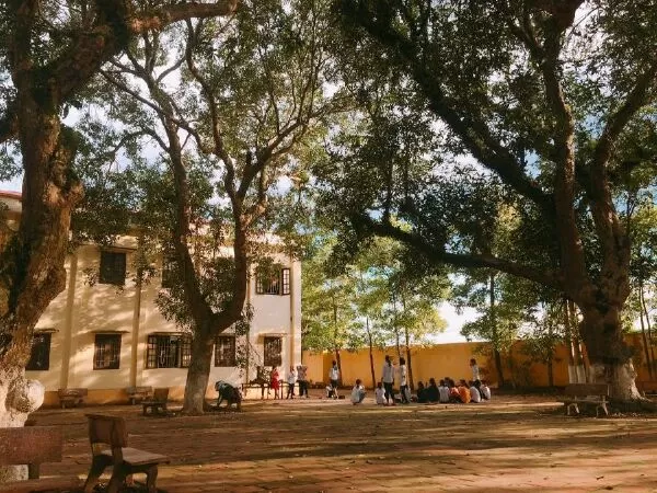 Mẫu 20