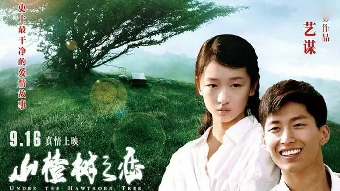 Chuyện Tình Cây Táo Gai - Under the Hawthorn Tree (2010)