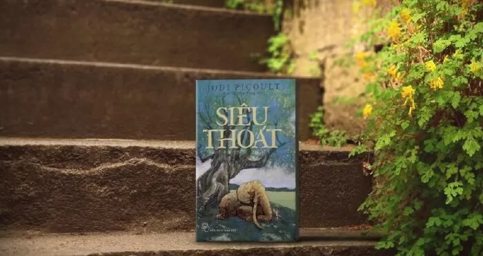 Siêu Thoát – Jodi Picoult