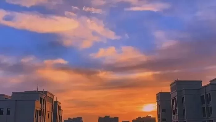 Bài văn nghị luận hay bàn về sự lười biếng - Mẫu số 4