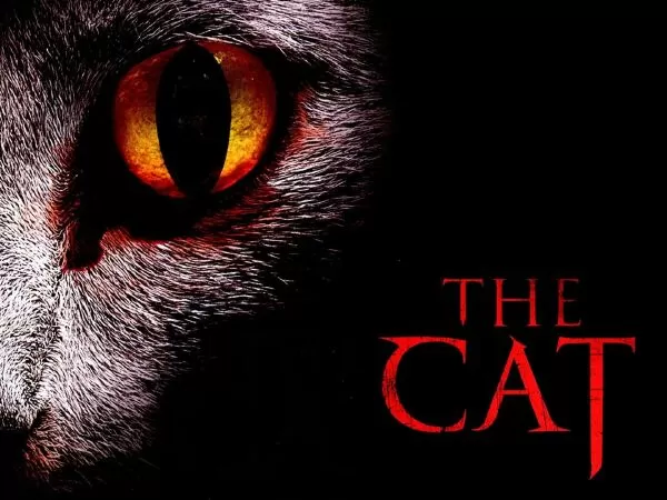 Con Mèo - The Cat (2011)