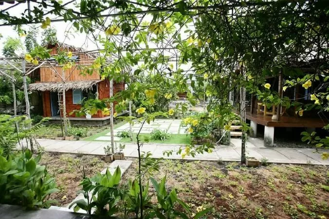 Bạch Cúc Homestay