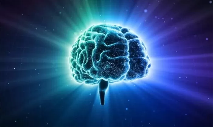 Bộ não con người không được thiết kế để chạy “đa nhân”