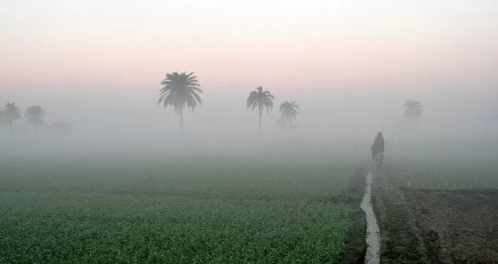 Sương thủy tinh