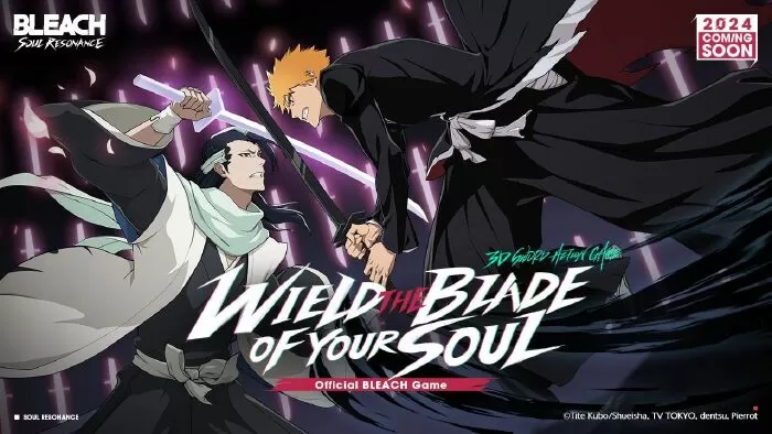 Bleach: Soul Resonance