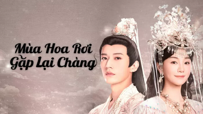 Mùa Hoa Rơi Gặp Lại Chàng