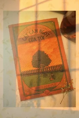 Cây cam ngọt của tôi