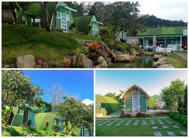 Greenland Homestay