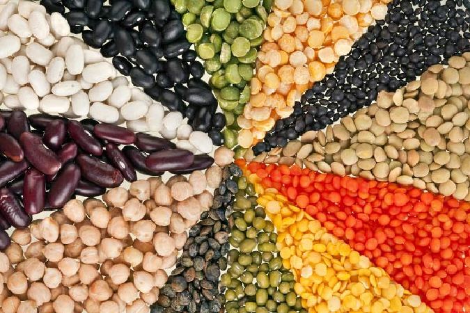 Kinds of bean