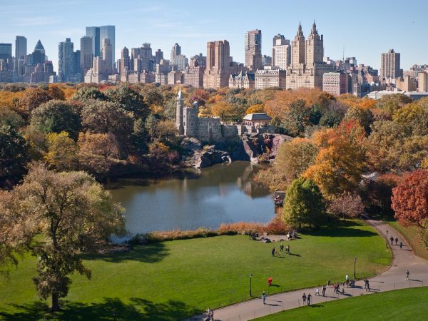The flower Garden of New York Central Park